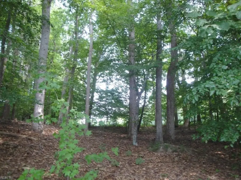 Picture 24