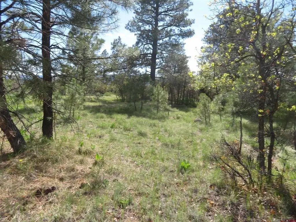 Picture 15