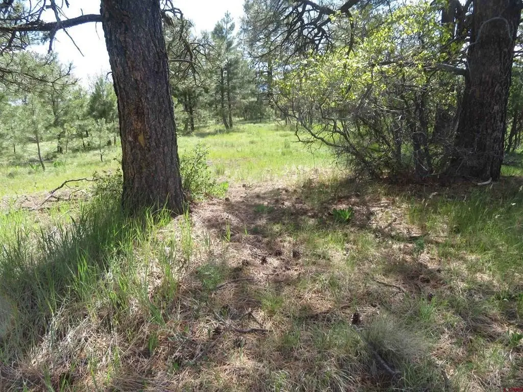 Picture 19