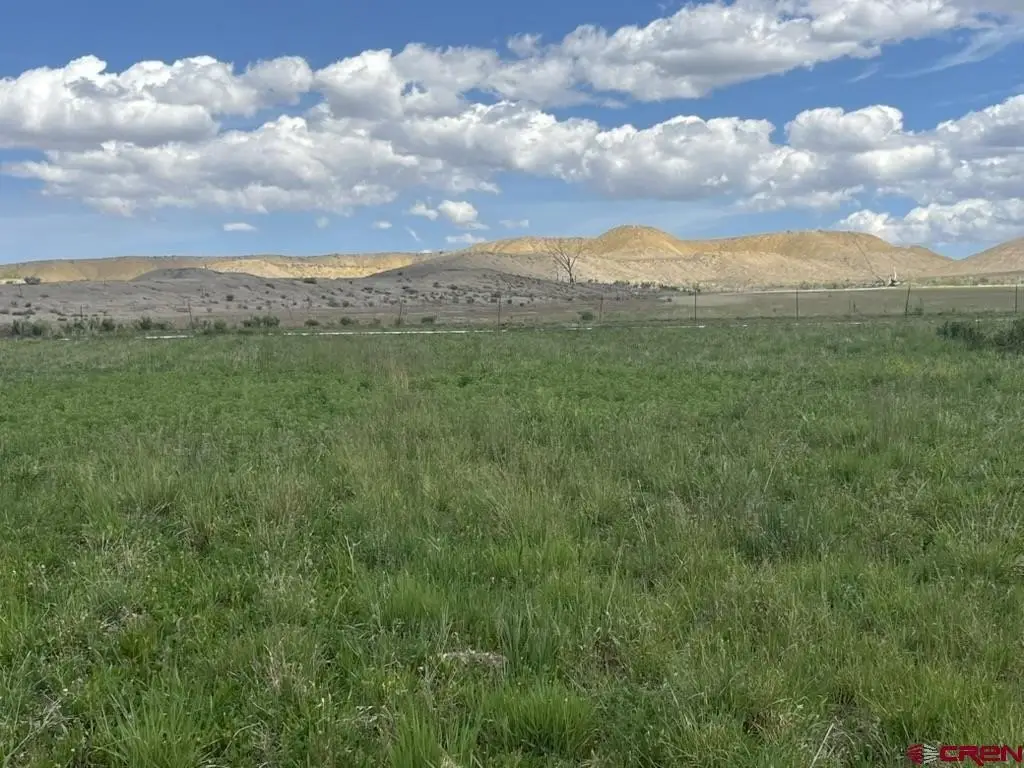 Picture 25