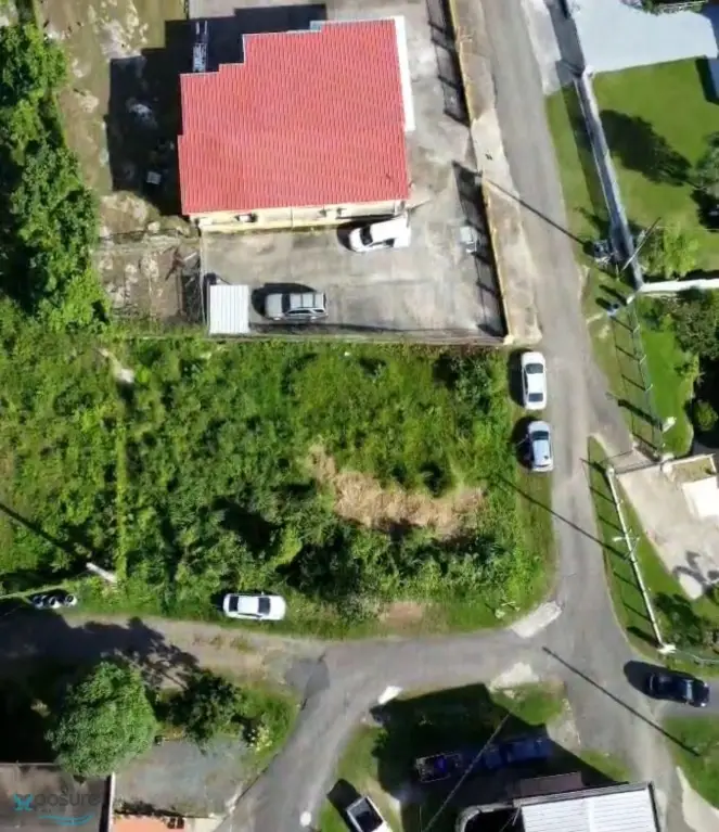 Picture 9