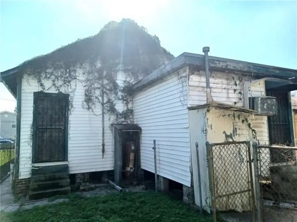 Picture 15