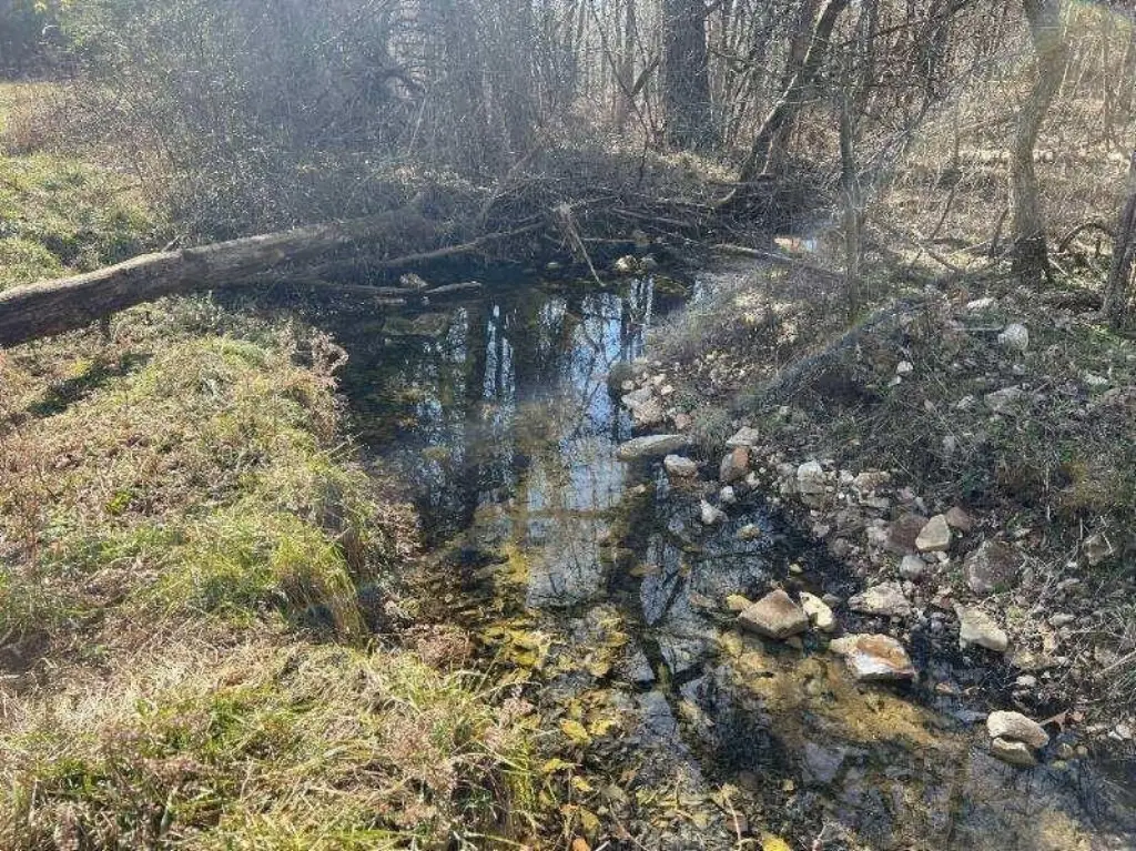 Picture 9
