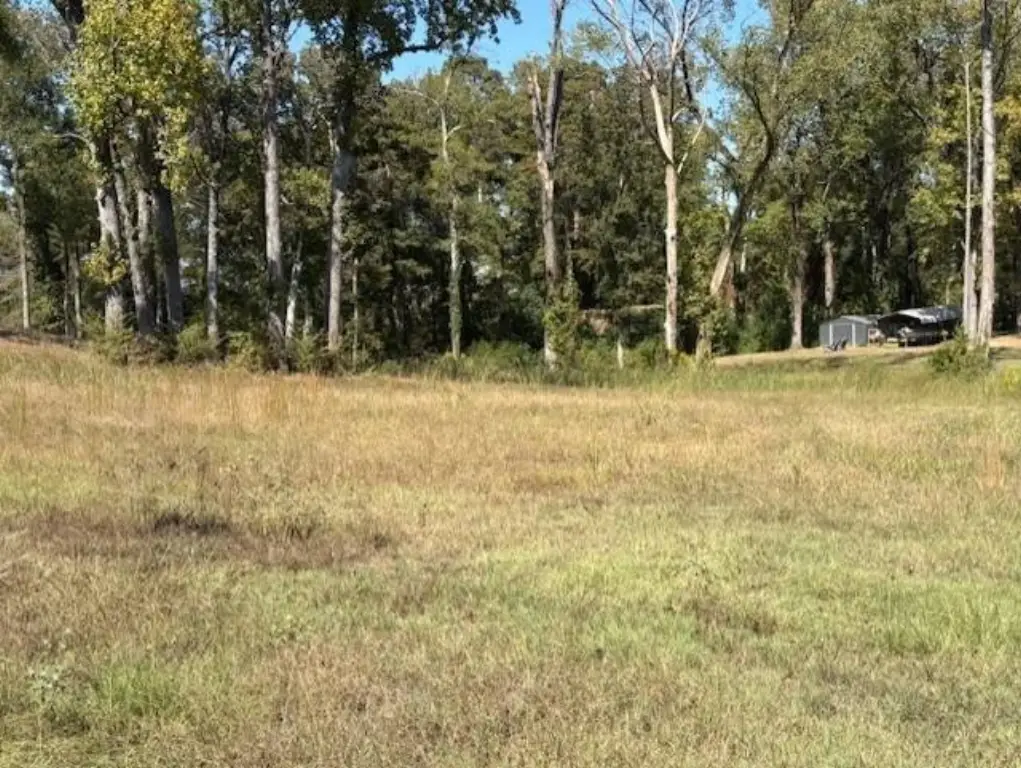 Picture 2