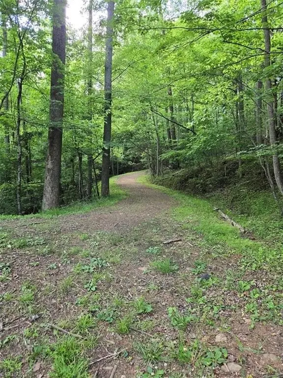 Picture 42