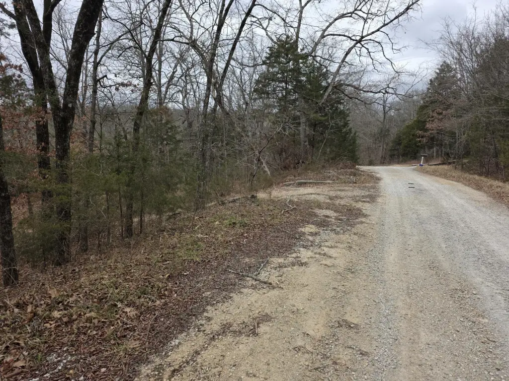 Picture 19