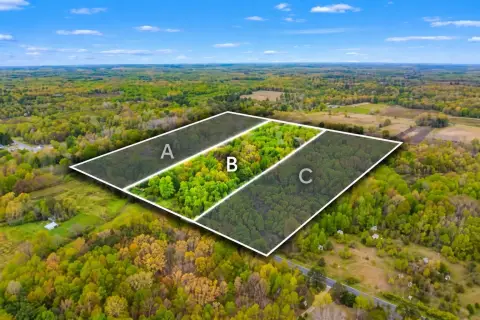 Wooded Hunting Land