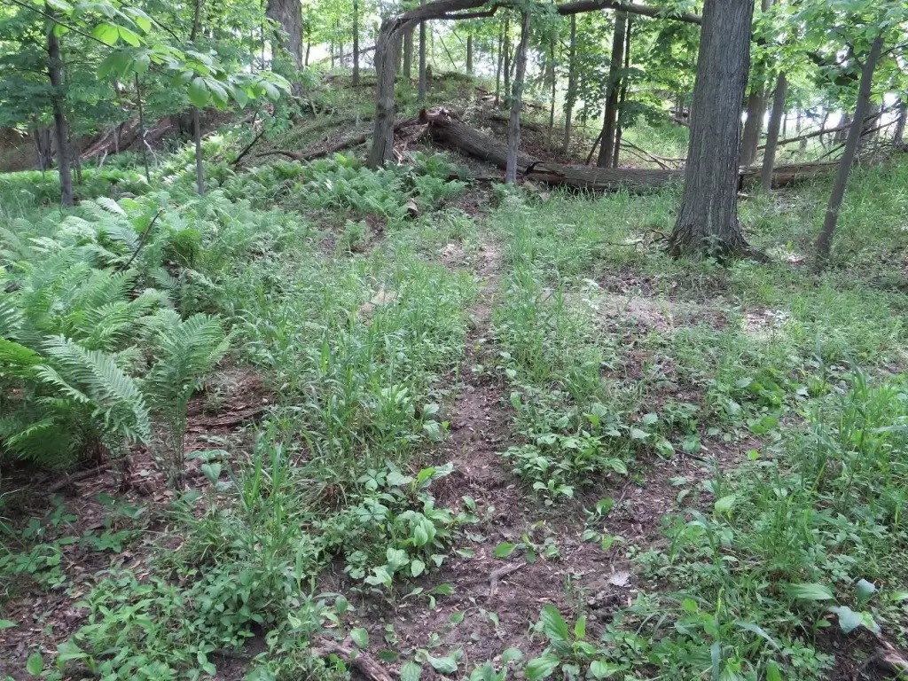 Picture 3