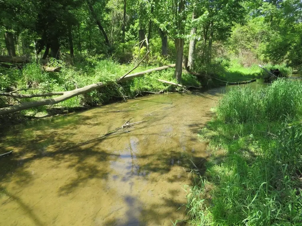 Picture 12