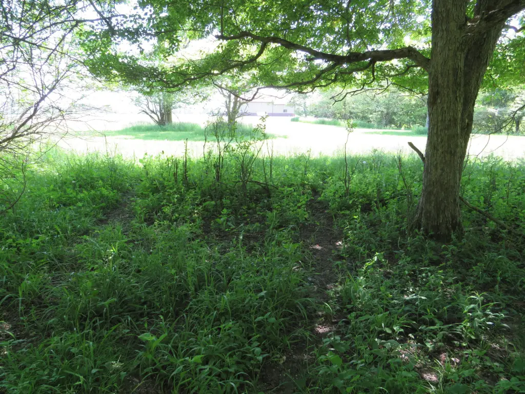 Picture 35