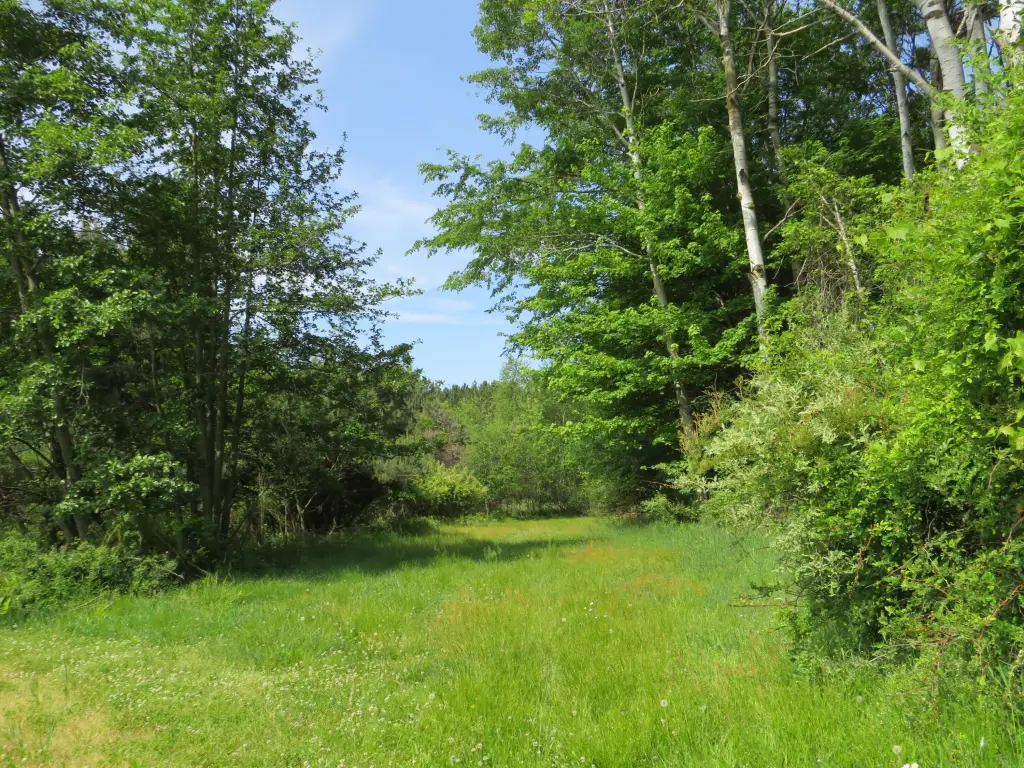 Picture 19