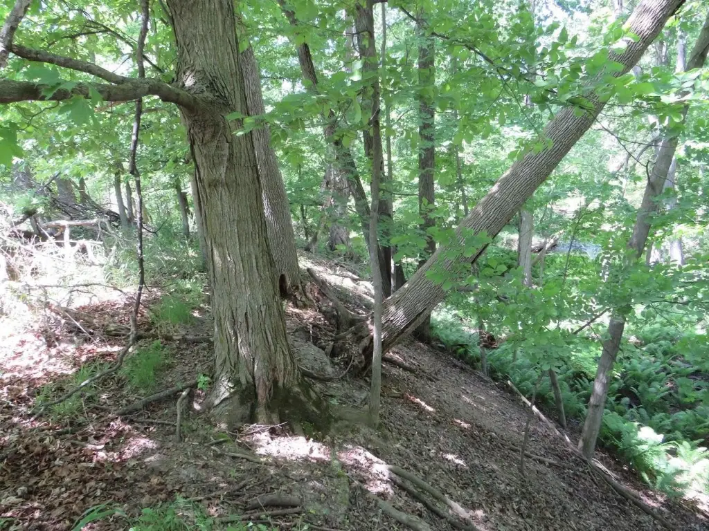 Picture 10