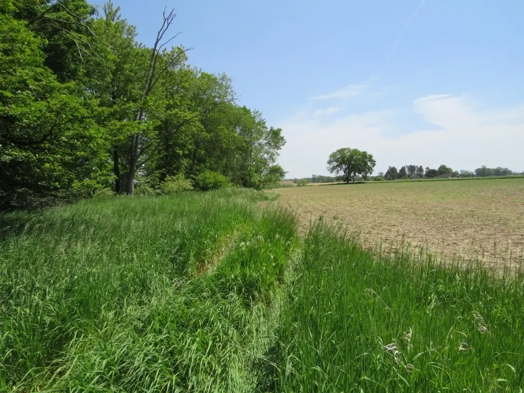 Picture 29
