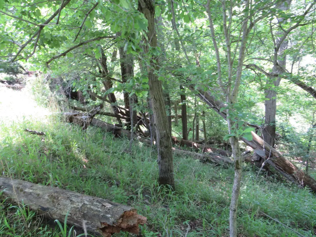 Picture 32
