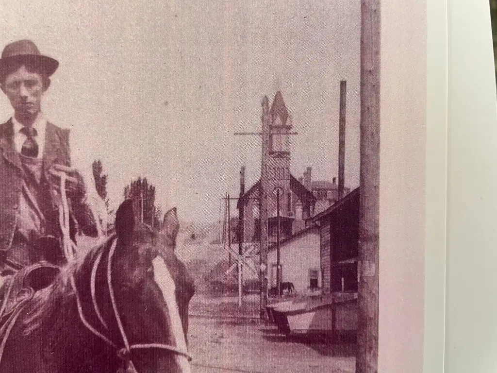 Picture 14