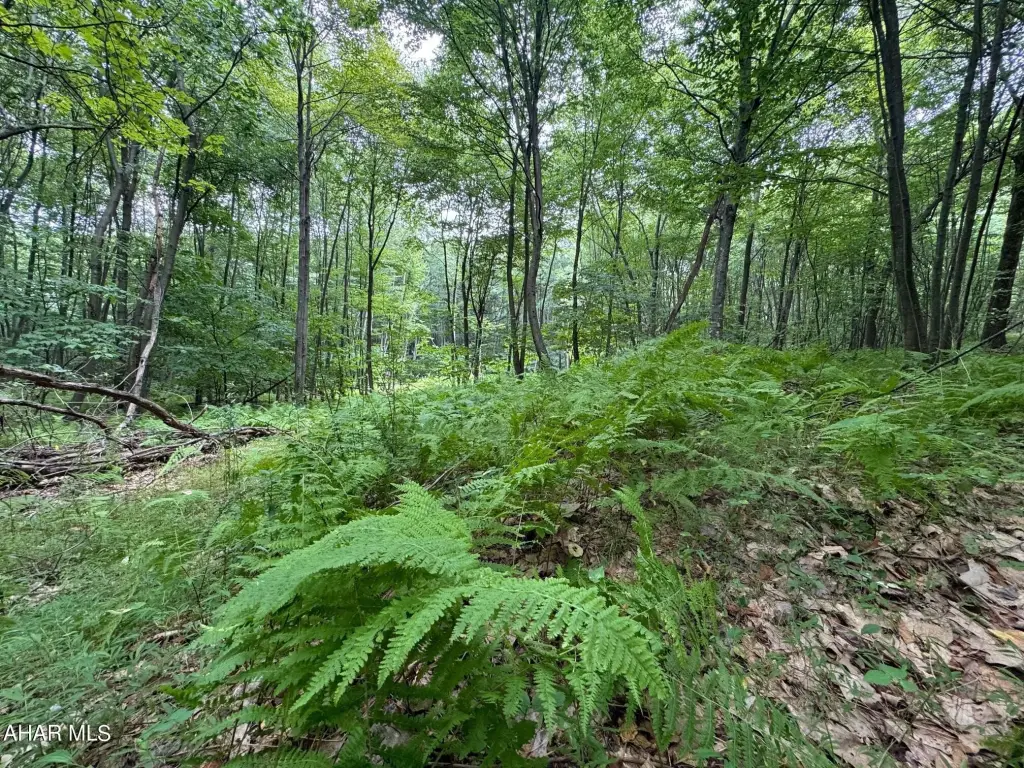 Picture 16