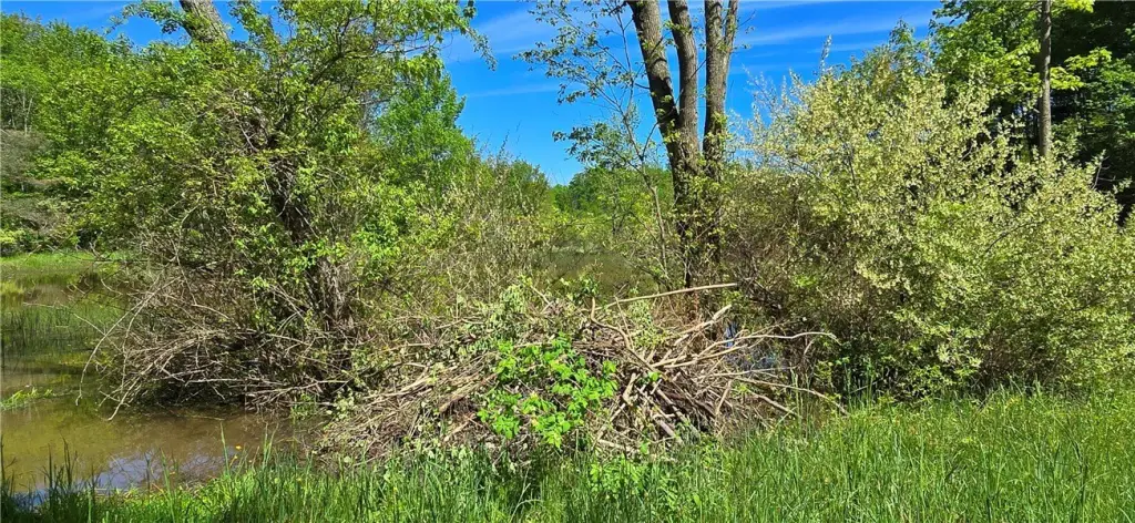 Picture 31