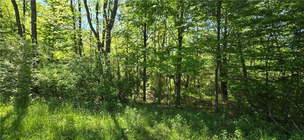 Picture 23