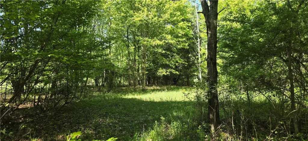 Picture 22