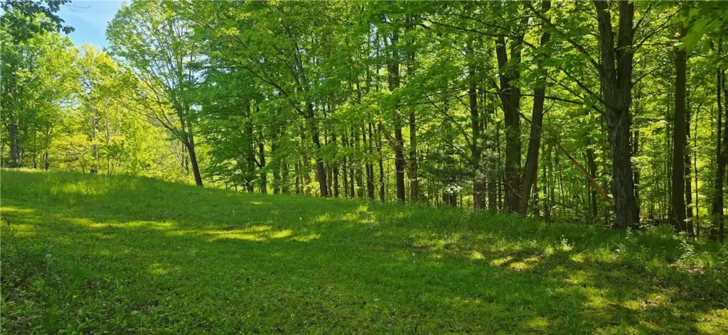 Picture 20