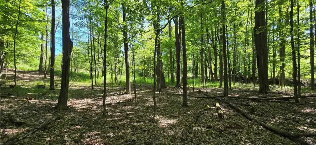 Picture 37