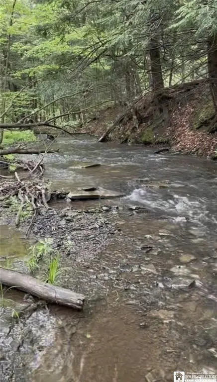 Picture 29