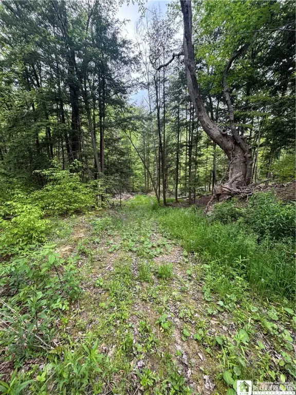 Picture 28