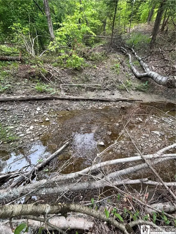 Picture 30