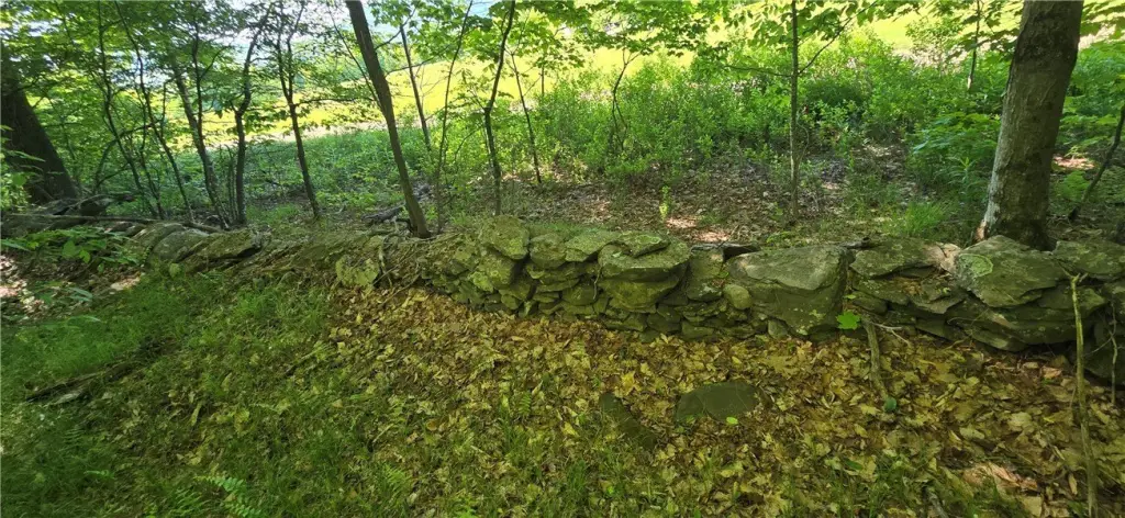 Picture 13