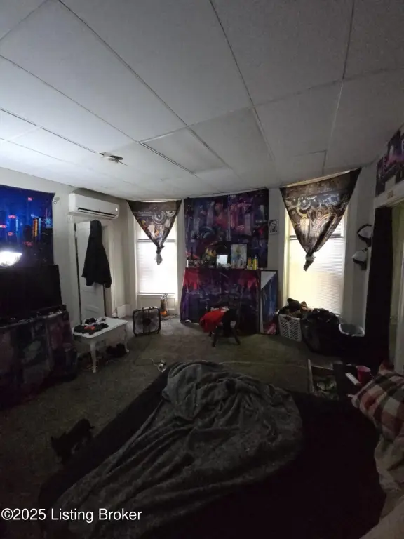 Picture 12