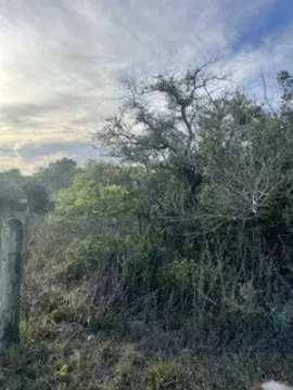 Rockport Land with Wooded Surroundings