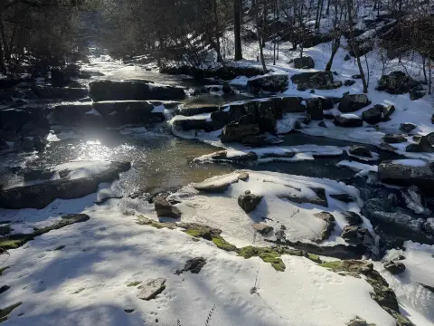 8-Acre Vacant Land Tract