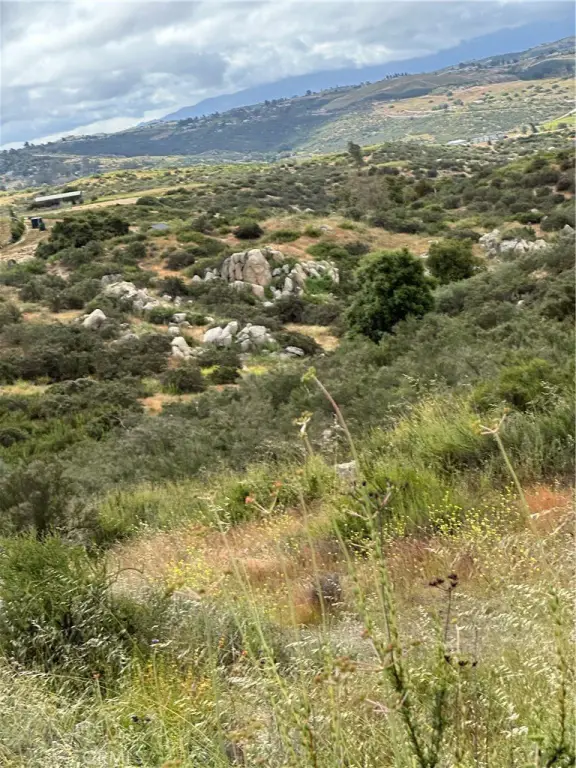 Picture 11
