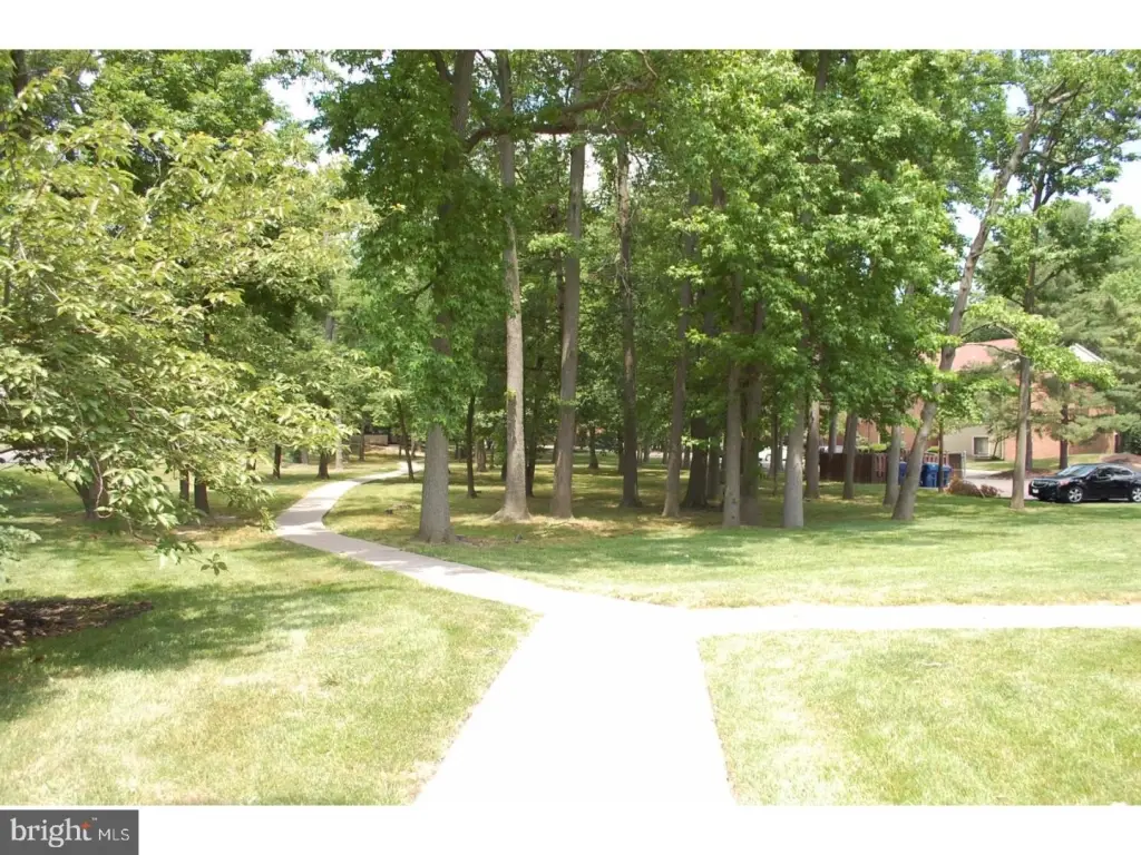 Picture 23