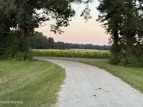 Trent River Dream House Land