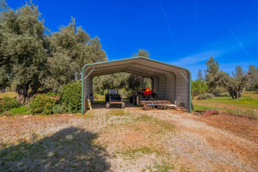 Picture 95