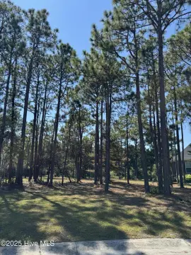 Homesite in Ocean Ridge Plantation
