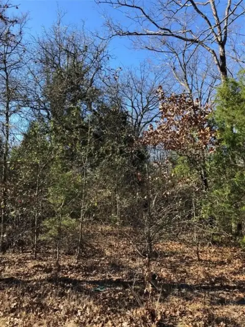 Land Near Cedar Creek Lake