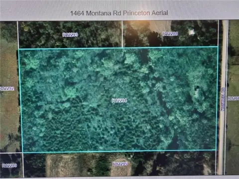 Wooded Land with Flowing Stream