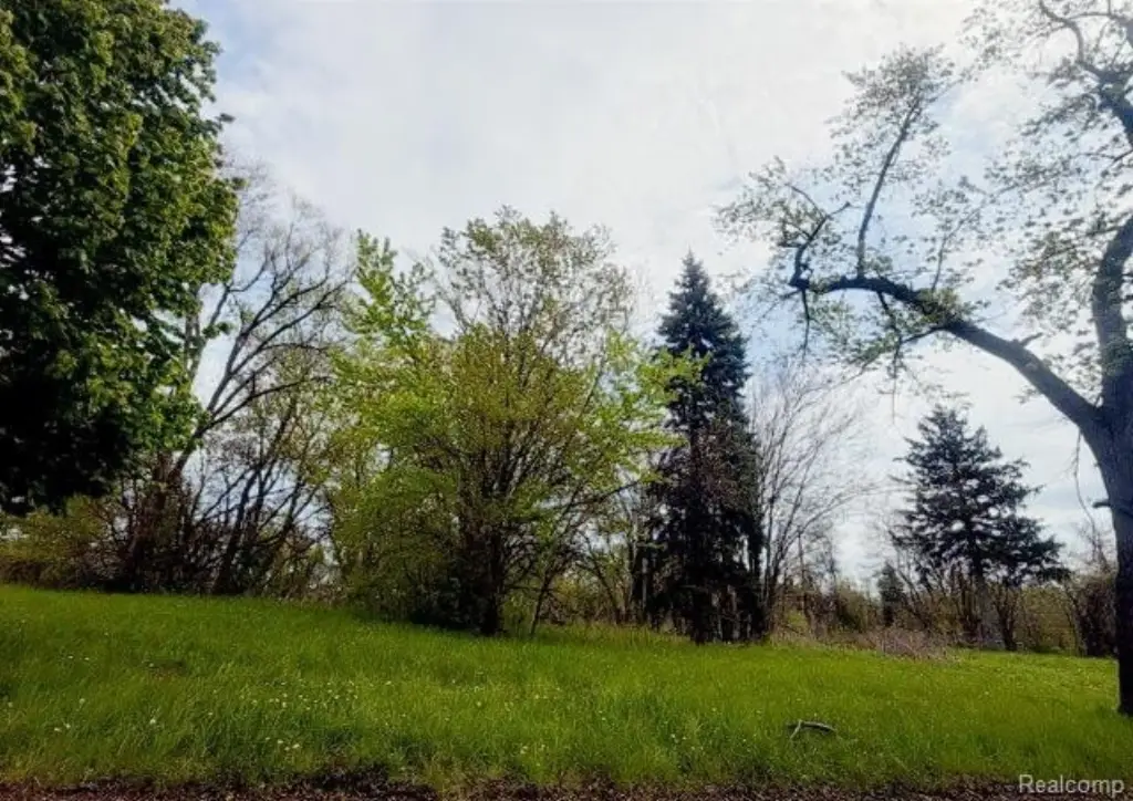 Picture 4