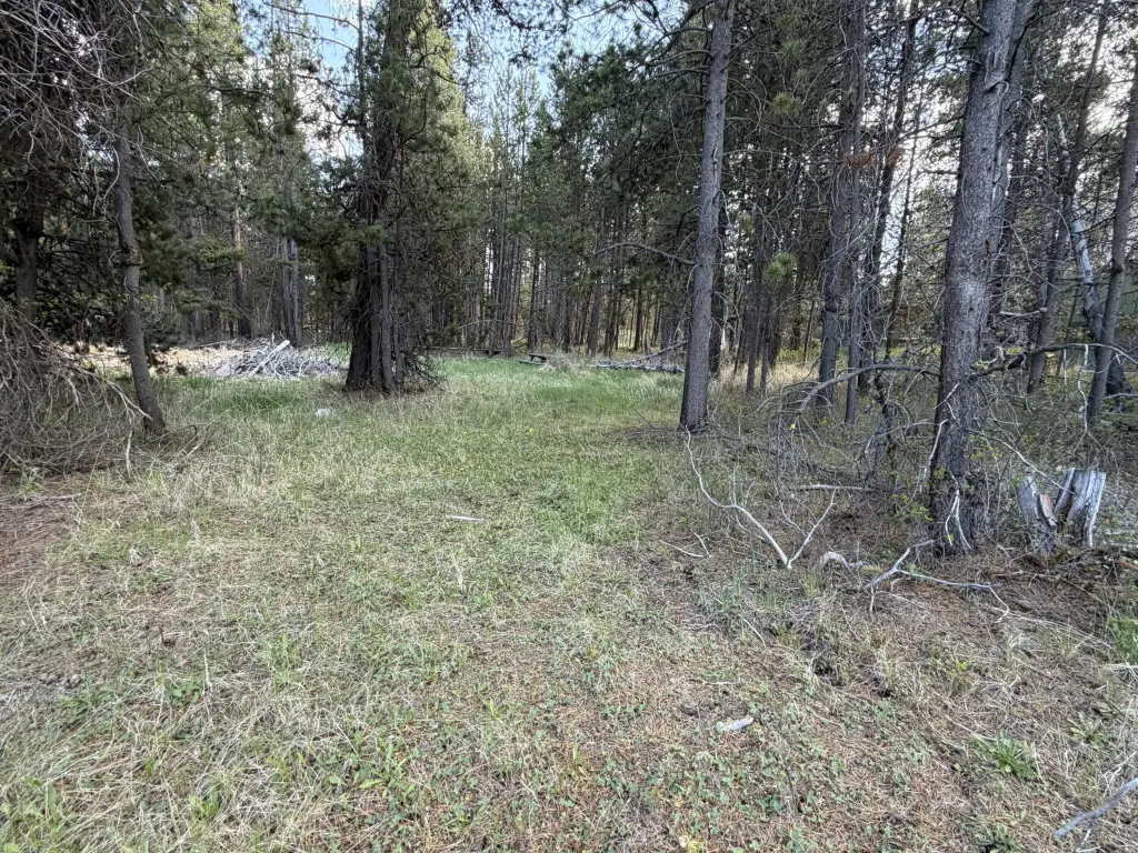 Picture 4
