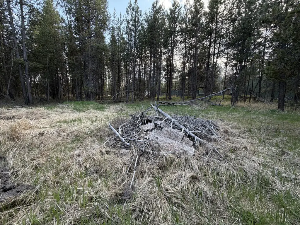 Picture 7