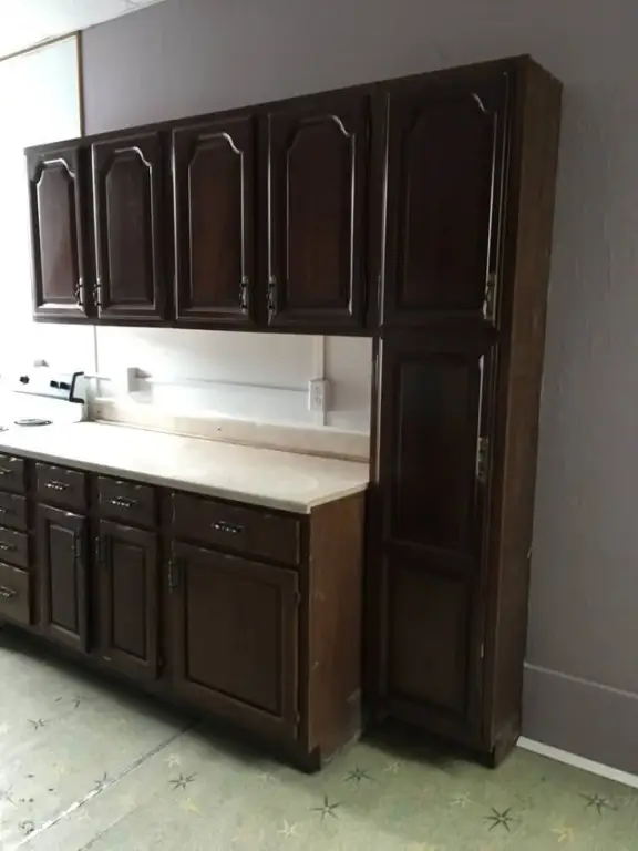 Picture 15