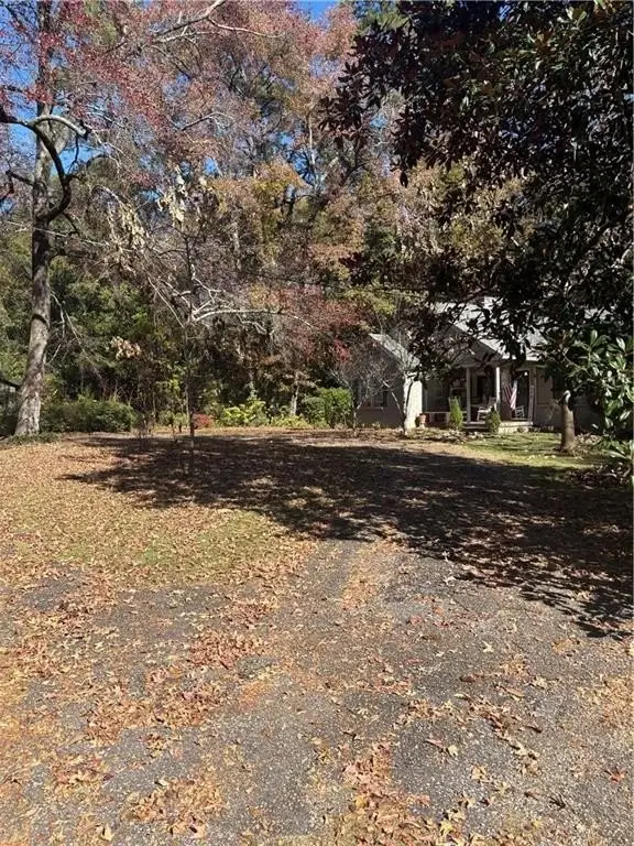 Picture 4