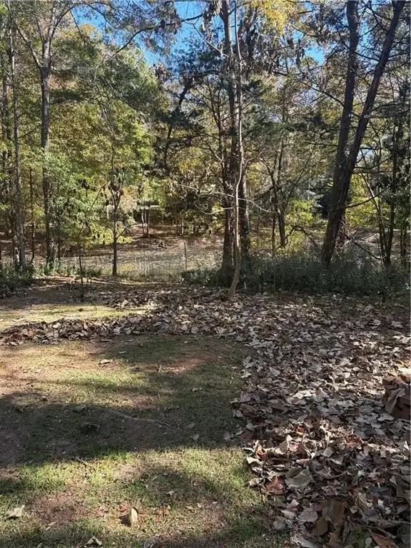 Picture 3