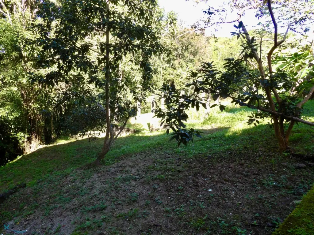 Picture 28
