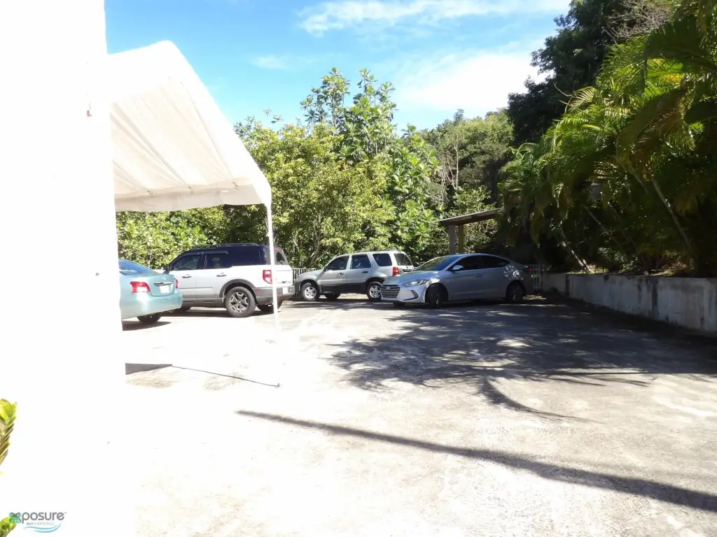 Picture 19