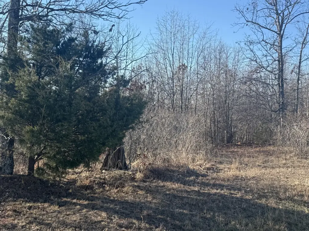 Picture 5
