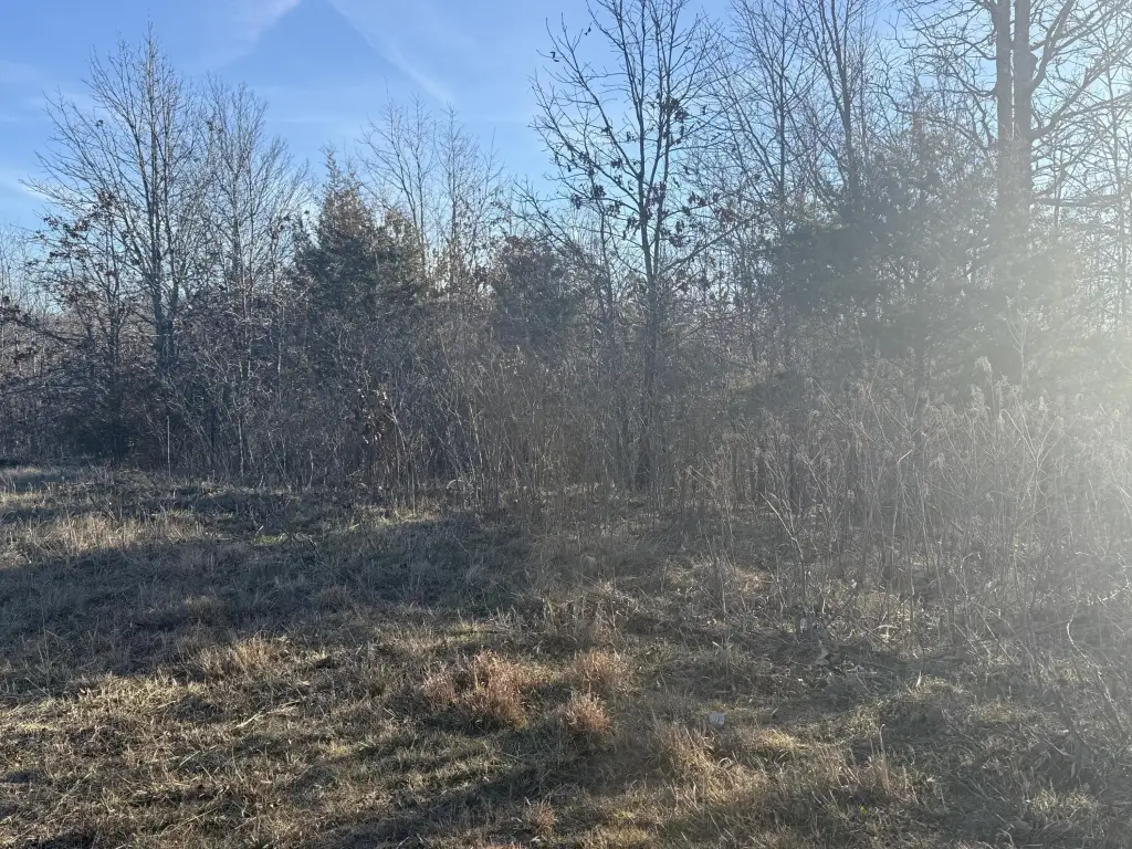 Picture 4