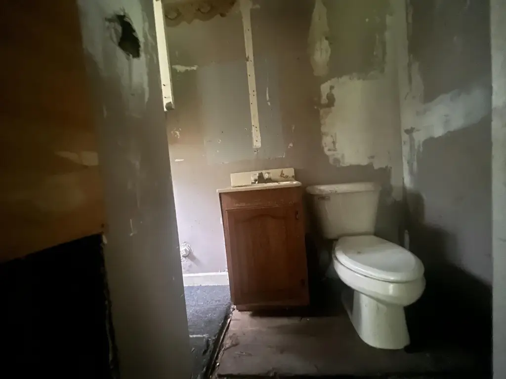 Picture 16